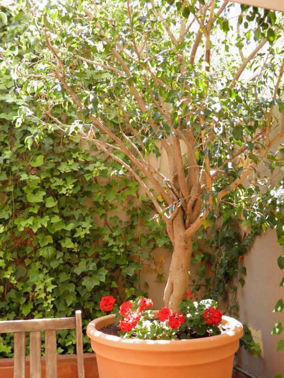 Suitur Courtyard Apartment Barcelona Kültér fotó